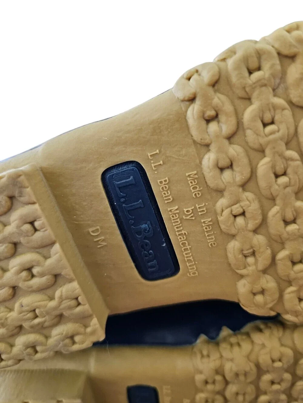 LL Bean 8